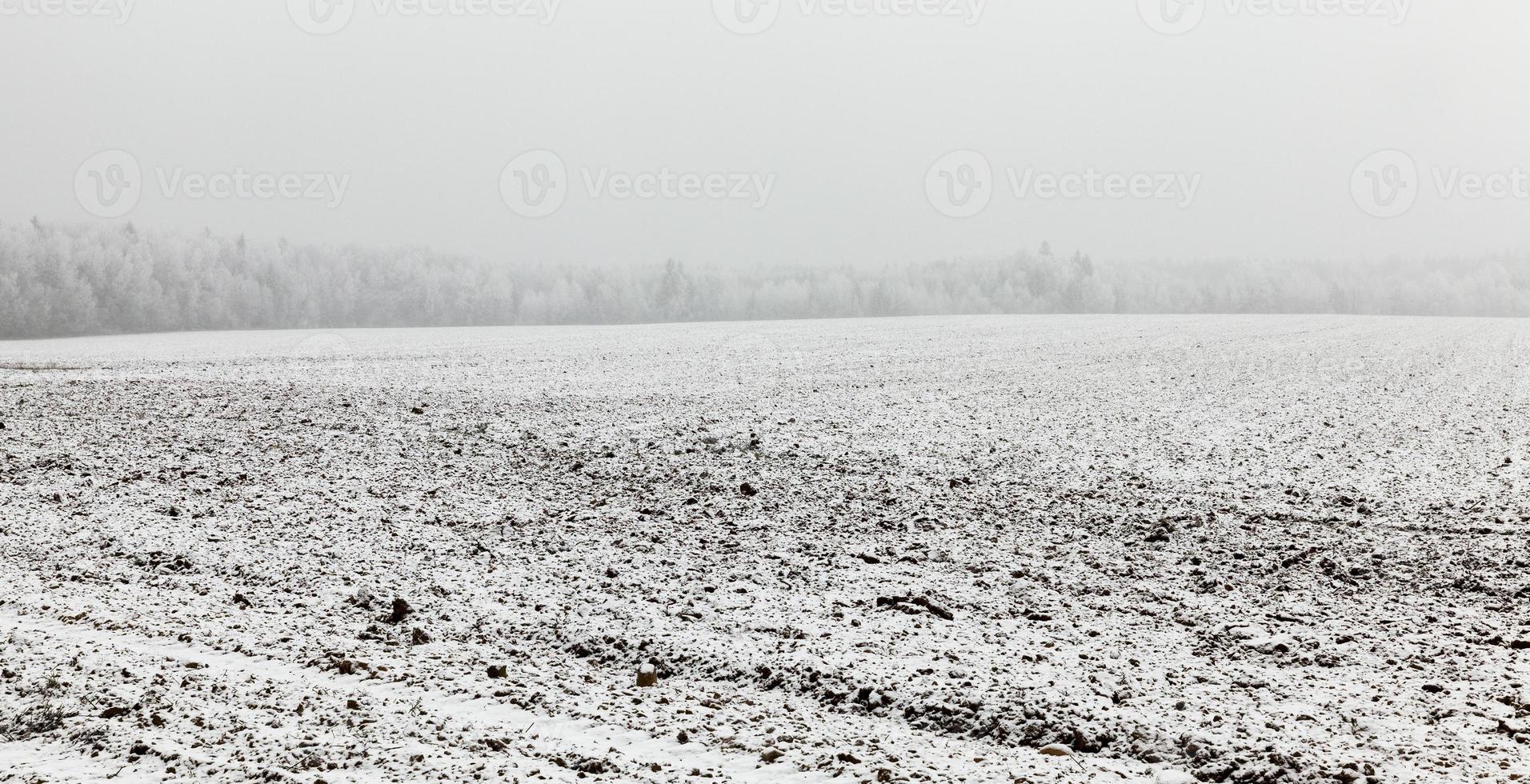 Plowed agricultural field photo