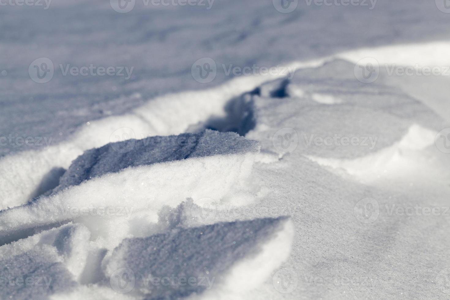 A large amount of snow formed snowdrifts photo