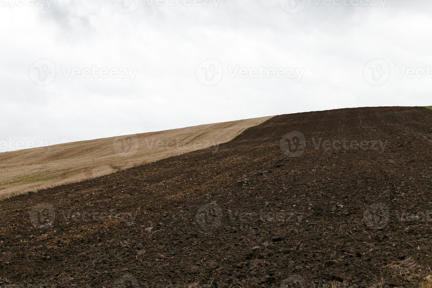 plowed earth in a field photo