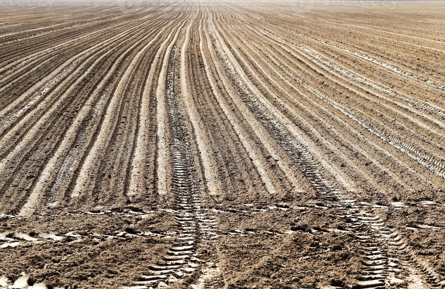 plowed land for cereal photo