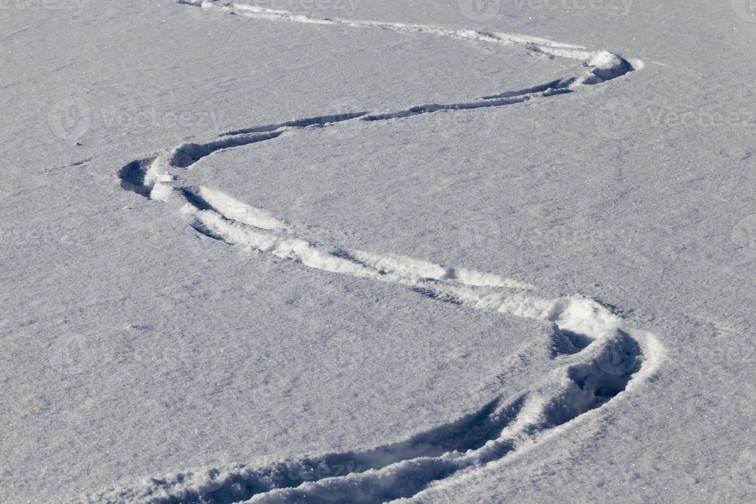 Traces zigzag on snowdrifts photo