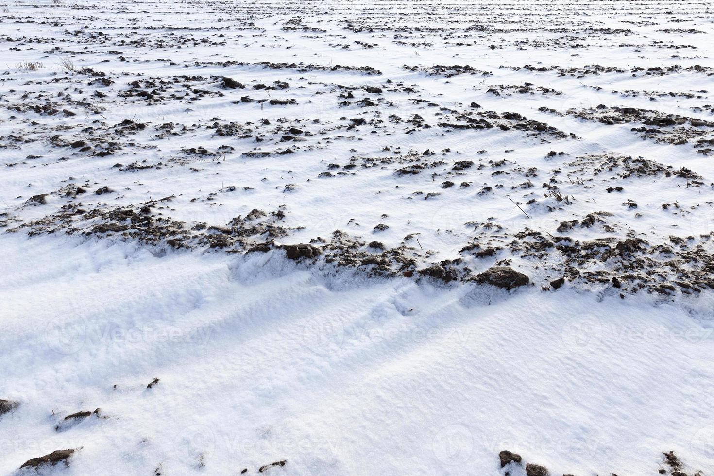 rural snow, close up photo