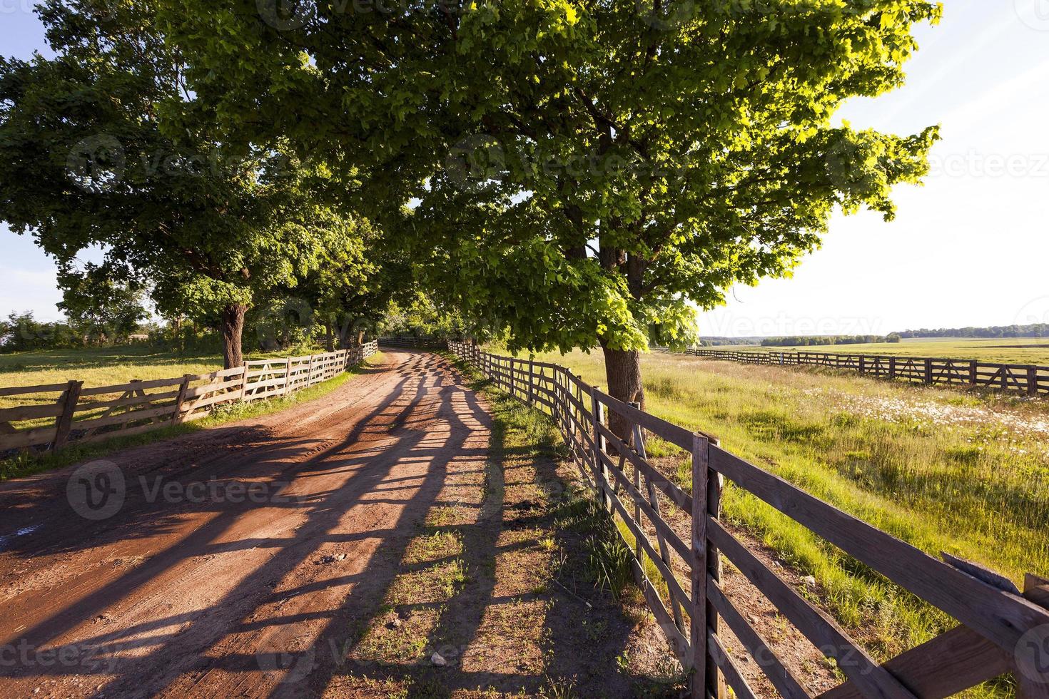 rural road . fence photo