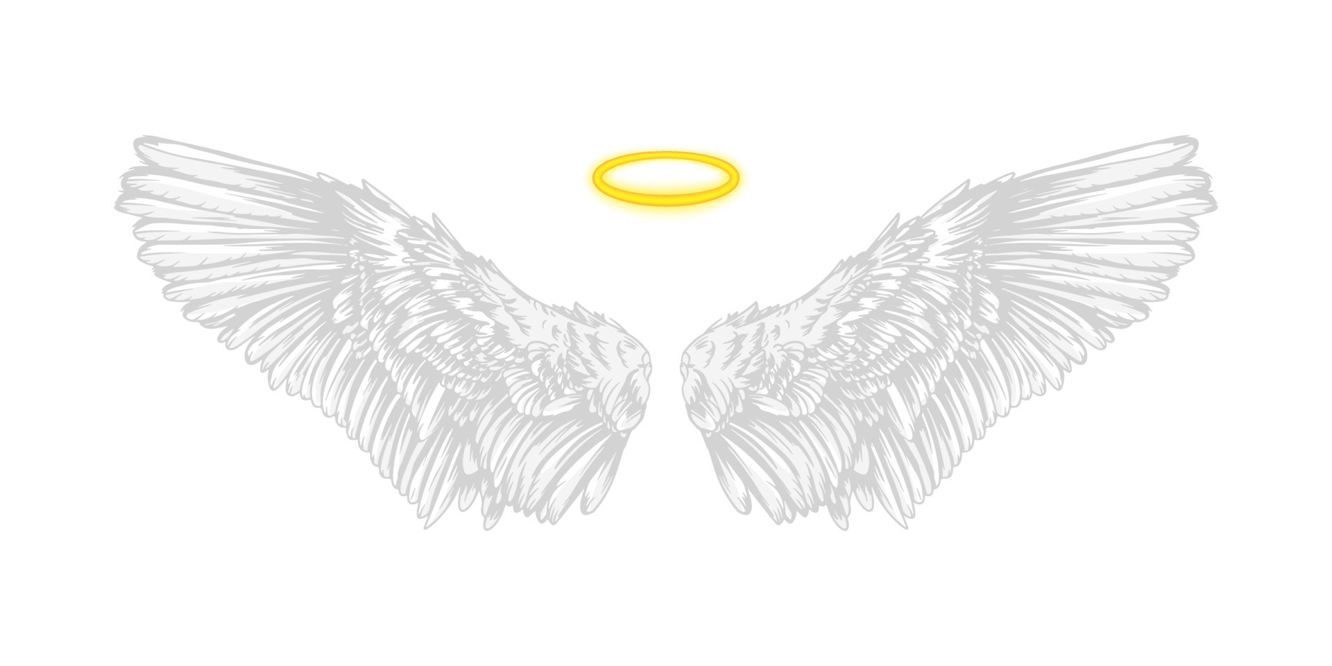 White Angel Wings Vector Art, Icons, and Graphics for Free Download White Angel Wings Vector Art, Icons, and Graphics for Free Download