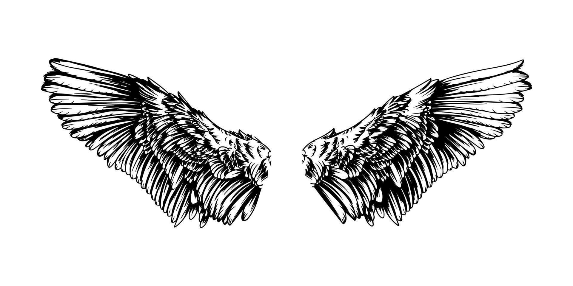 Realistic angel wings. Cartoon hand drawn pair of falcon wings, sketch bird wings design template. Vector concept white cute feathered wing animal on white background