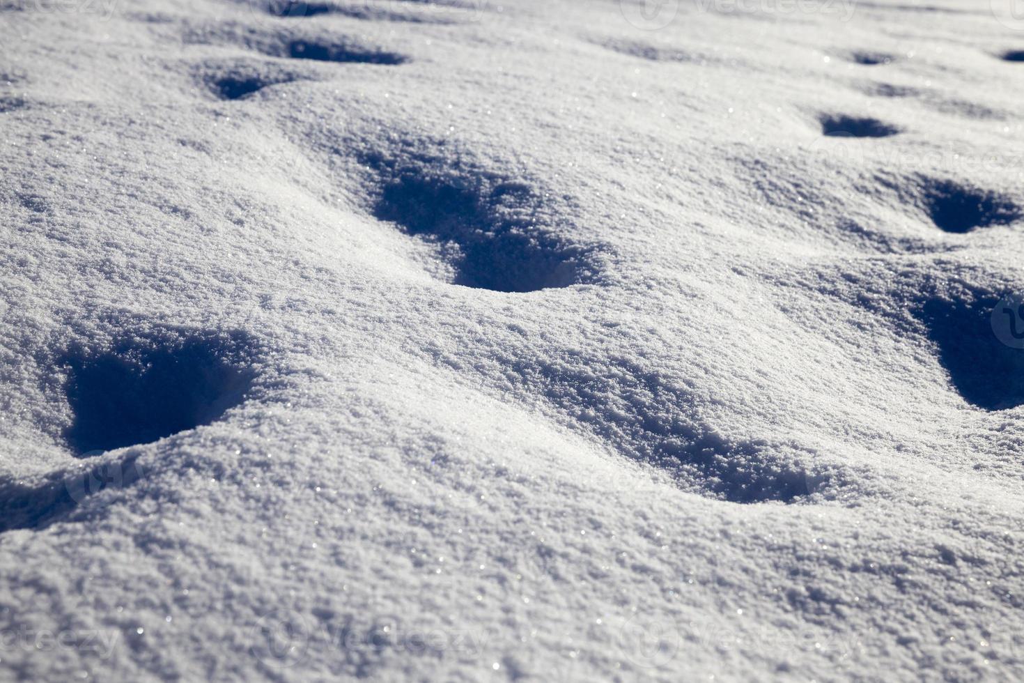 Snowdrifts of snow after a large snowfall photo