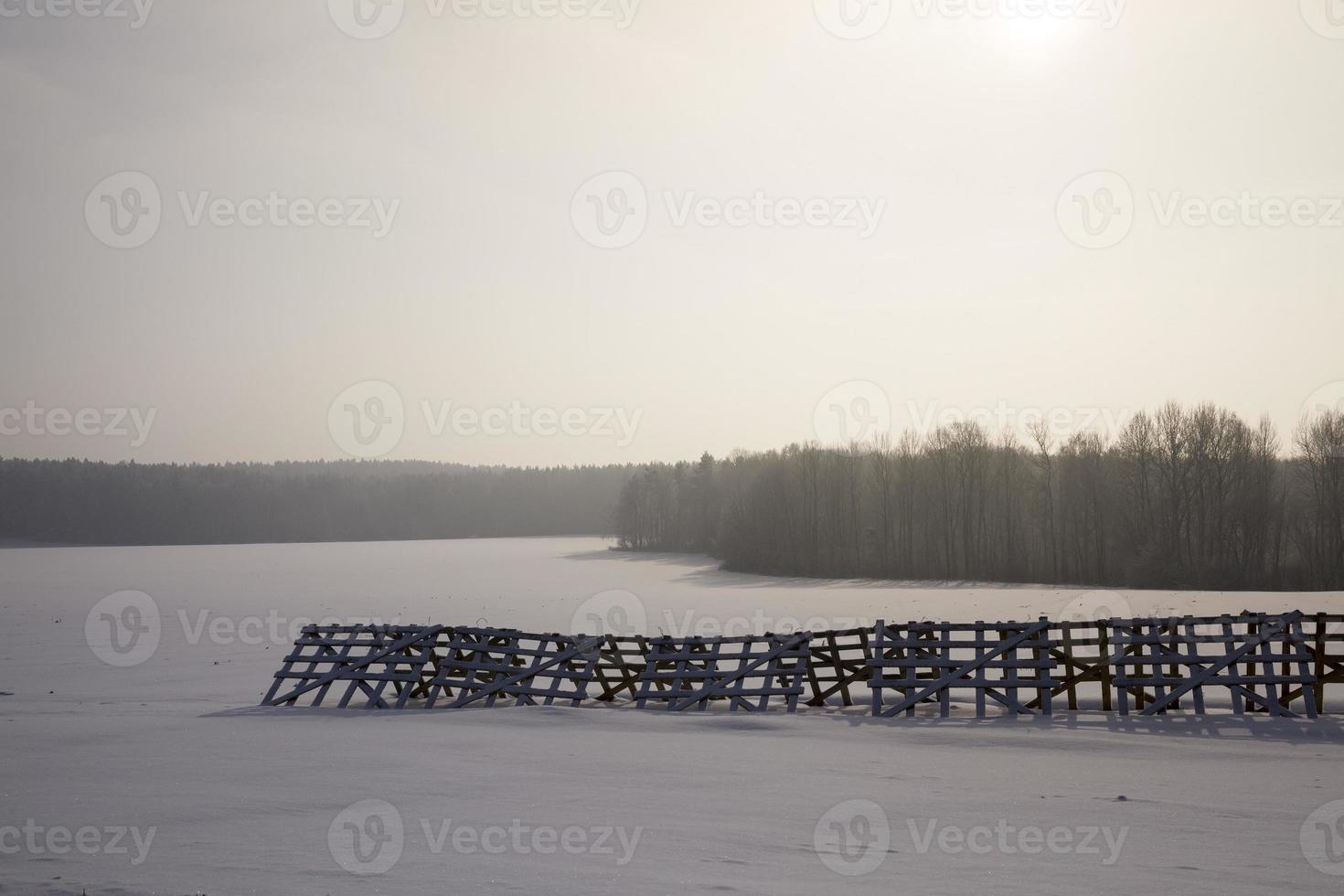 Agricultural field during sunset in the winter season photo