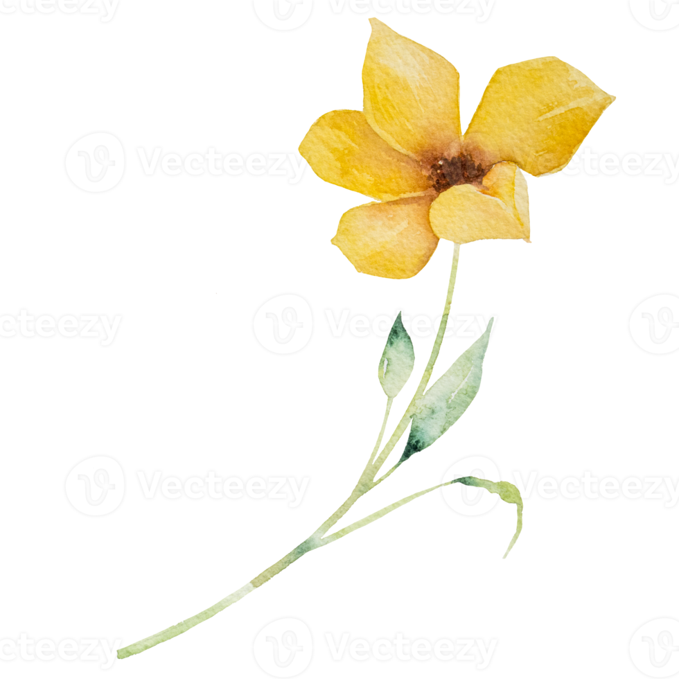 yellow flower watercolor png