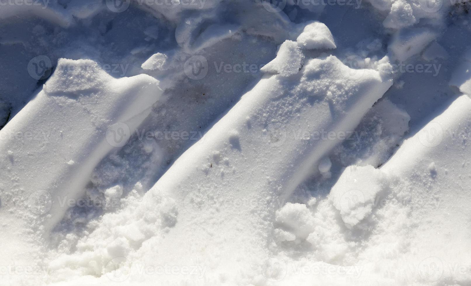 camino bajo la nieve foto