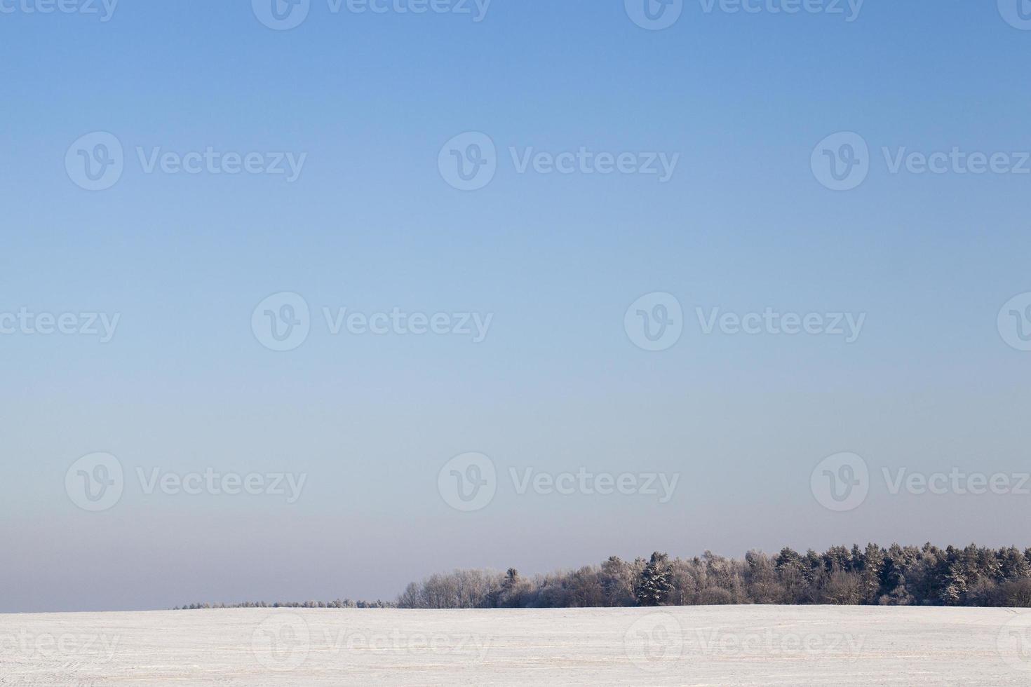 Field after snowfall photo