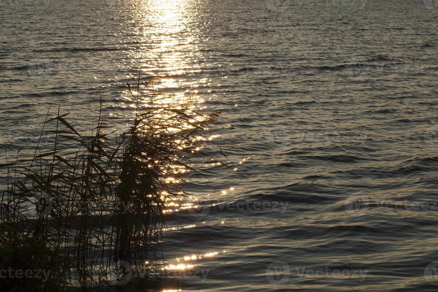 Sunset lake, close up photo