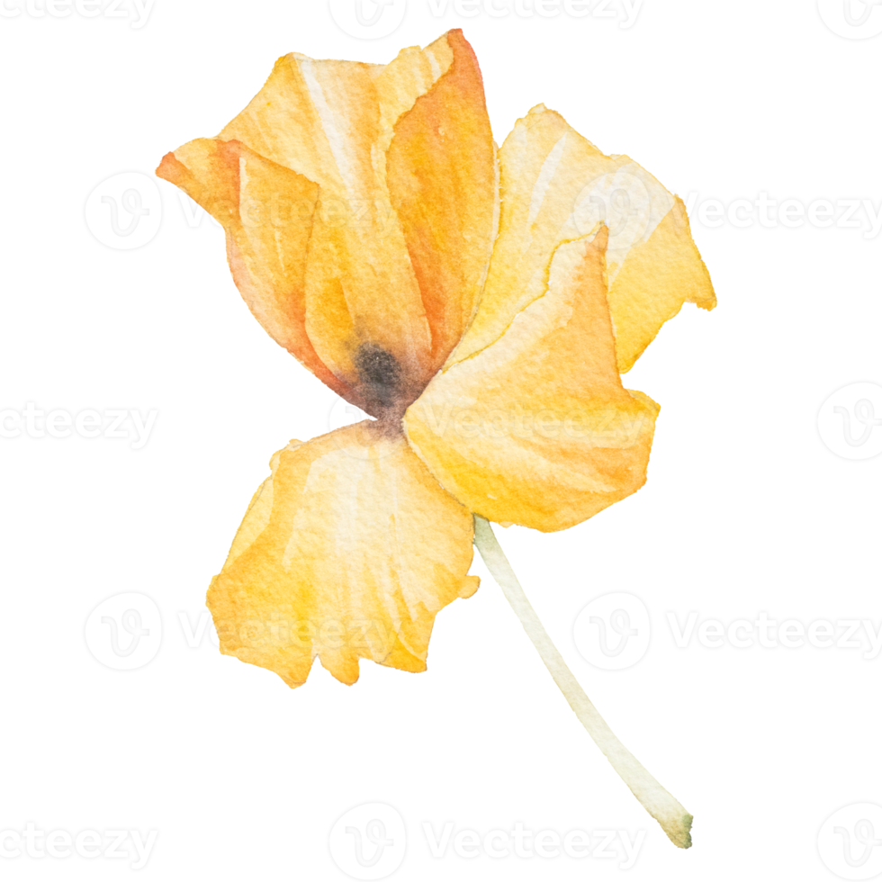 Yellow flower watercolor png