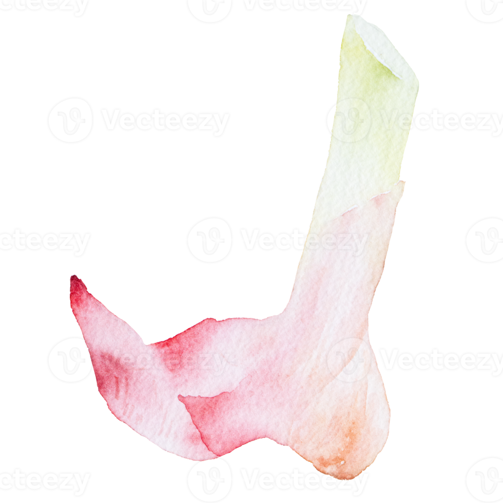 galangal, tom yum seasoning png