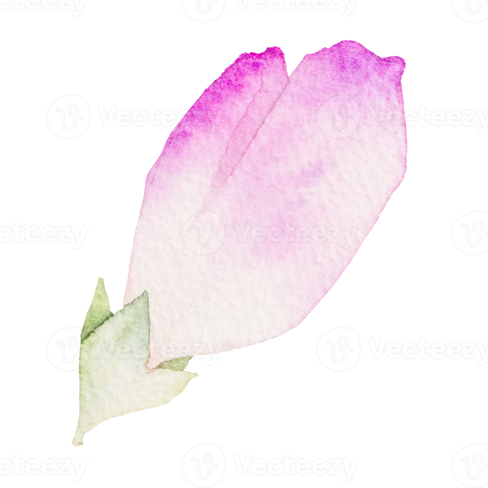 Watercolor pink flower png