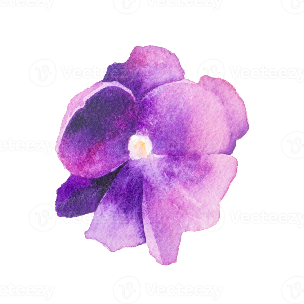 Watercolor purple flower png
