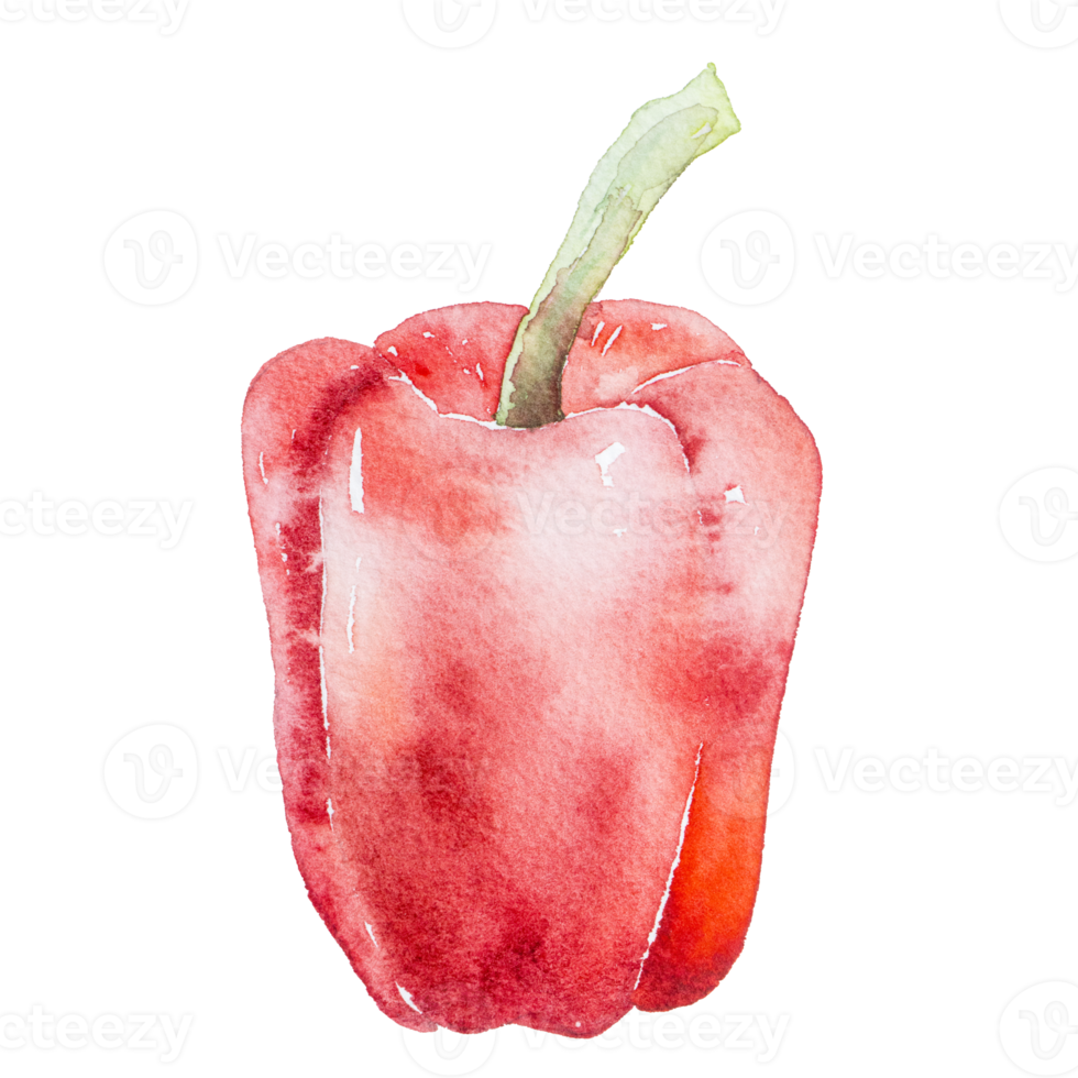 red bell peppers watercolor clipart png