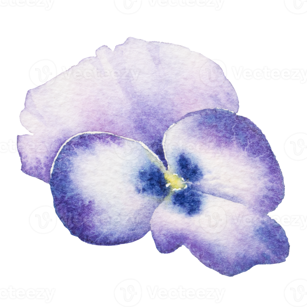 natural flower watercolor hand painted png