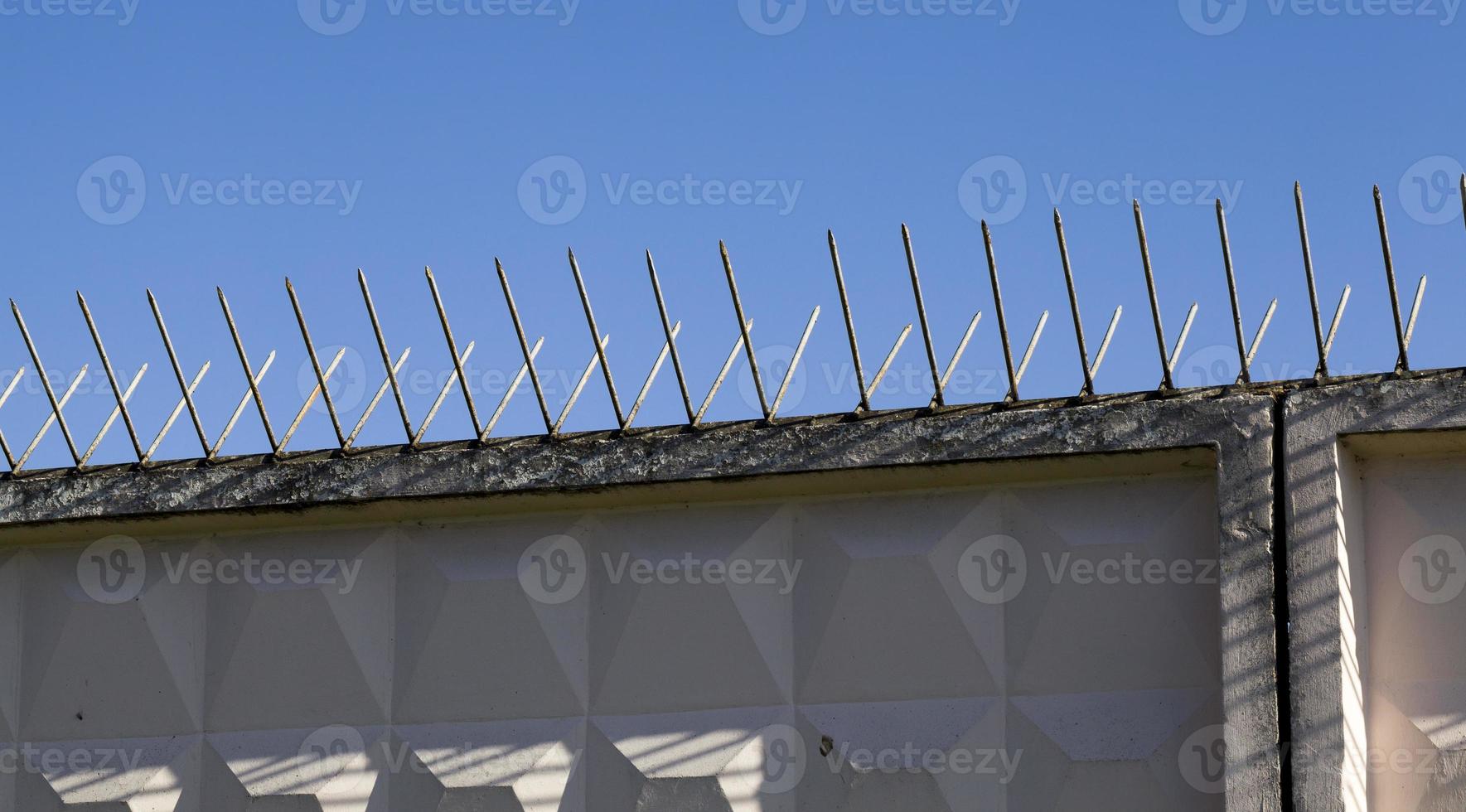spikes on the fence photo