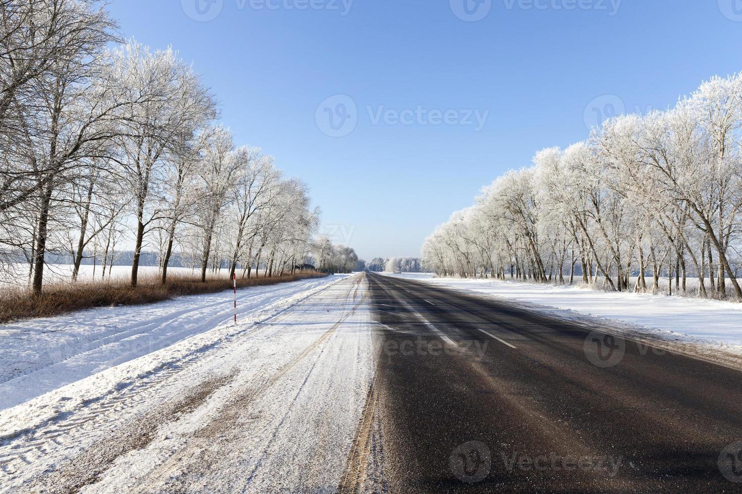 landscape with a road photo