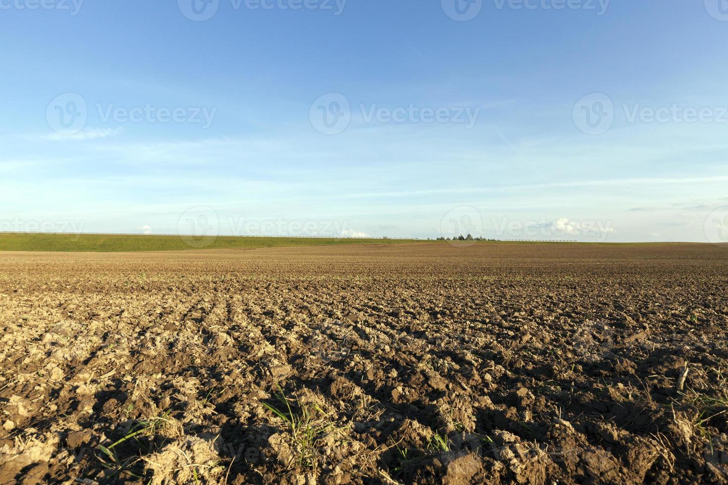 plowed agricultural field photo