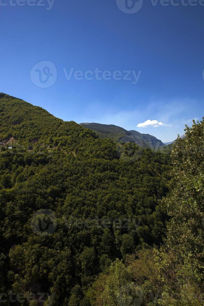 mountain district - the mountains covered with various trees, other plants. Montenegro photo