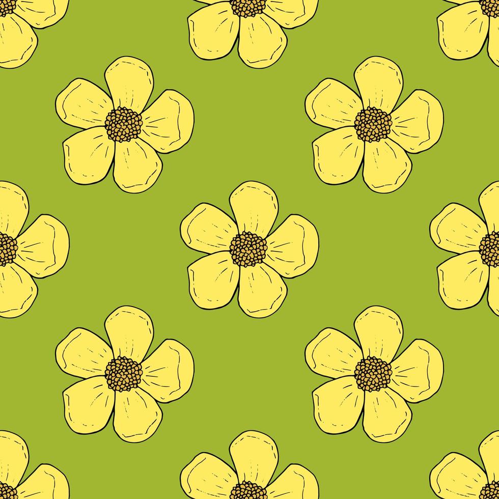 patrón impecable con ranúnculos amarillos sobre fondo verde brillante para telas, textiles, ropa, manteles y otras cosas. imagen vectorial vector