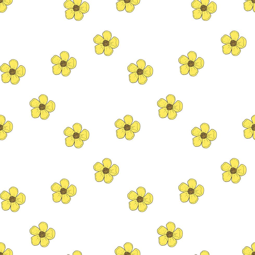 Seamless pattern with yellow buttercups on white background for fabric, textile, clothes, tablecloth and other things. Vector image.