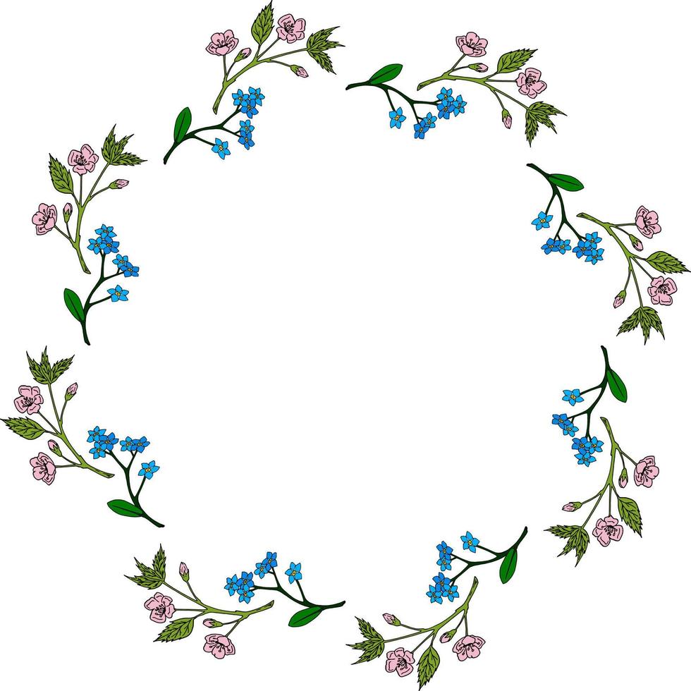 Round frame with sakura branches and flowers forget-me-not on white background. Vector image.