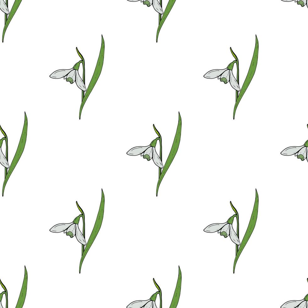 Seamless pattern with gentle snowdrops on white background. Vector image.