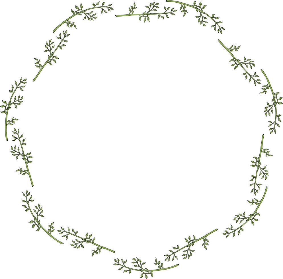 Round frame with beautiful green branches on white background. Vector image.
