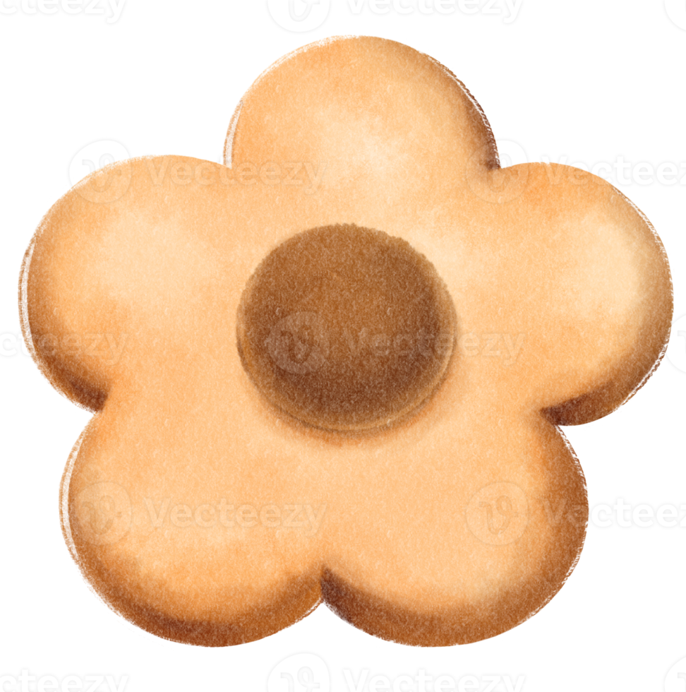 Cookie watercolor hand painted png