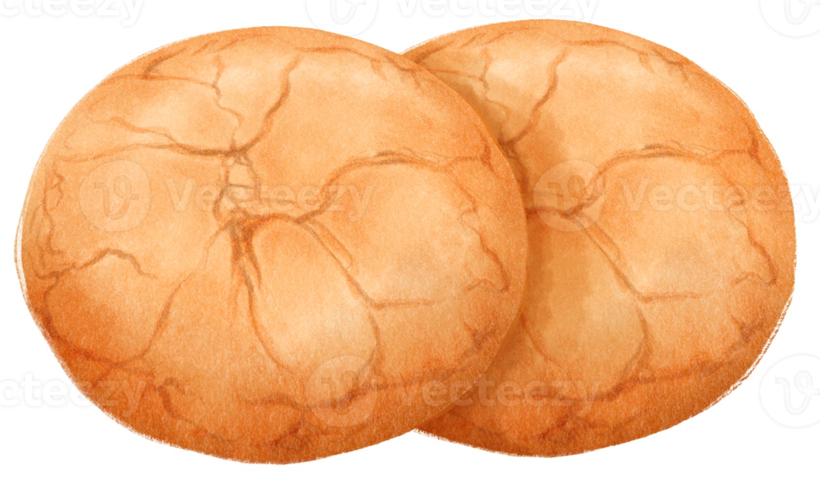 ilustración de galletas acuarela png