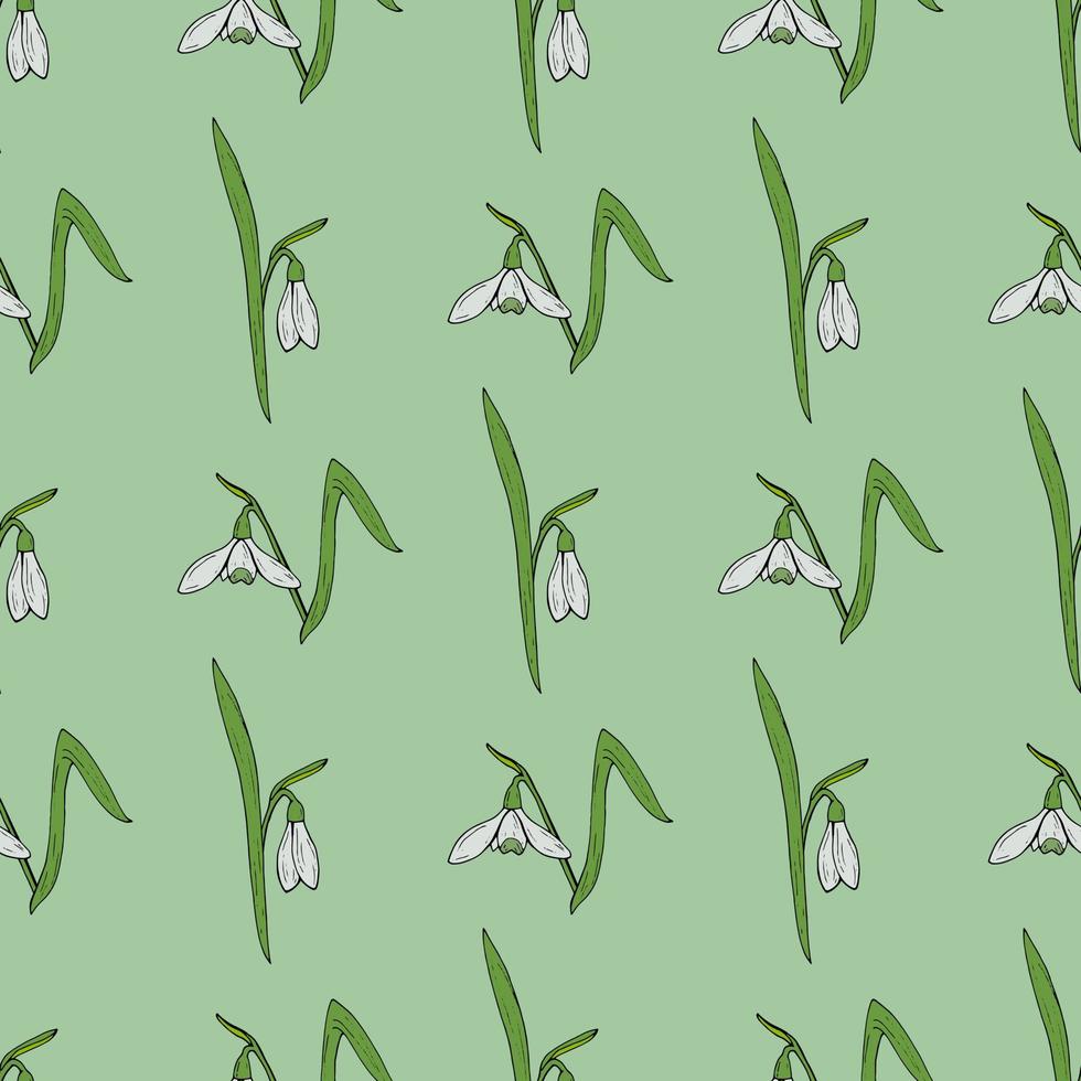 Seamless pattern with stylish snowdrops on light green background. Vector image.