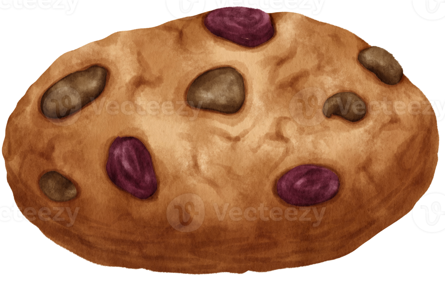 Watercolor cookies illustration png