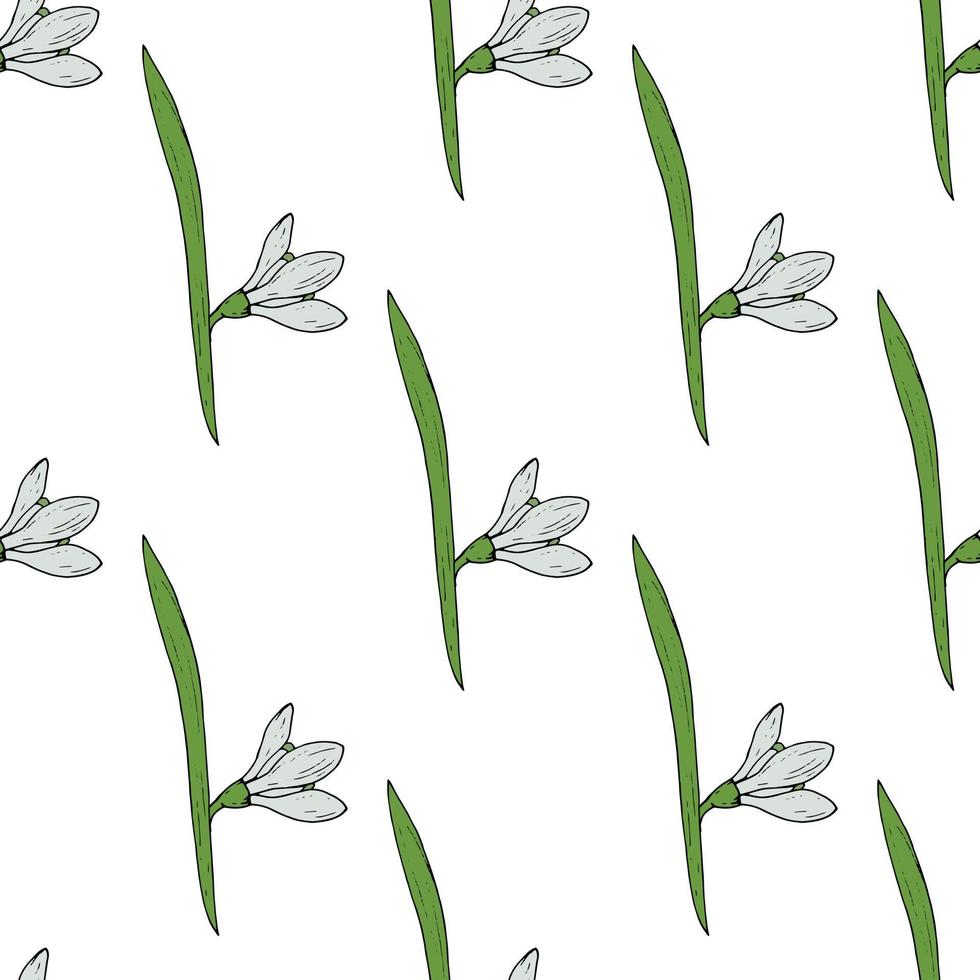 Seamless pattern with cute snowdrops on white background. Vector image.