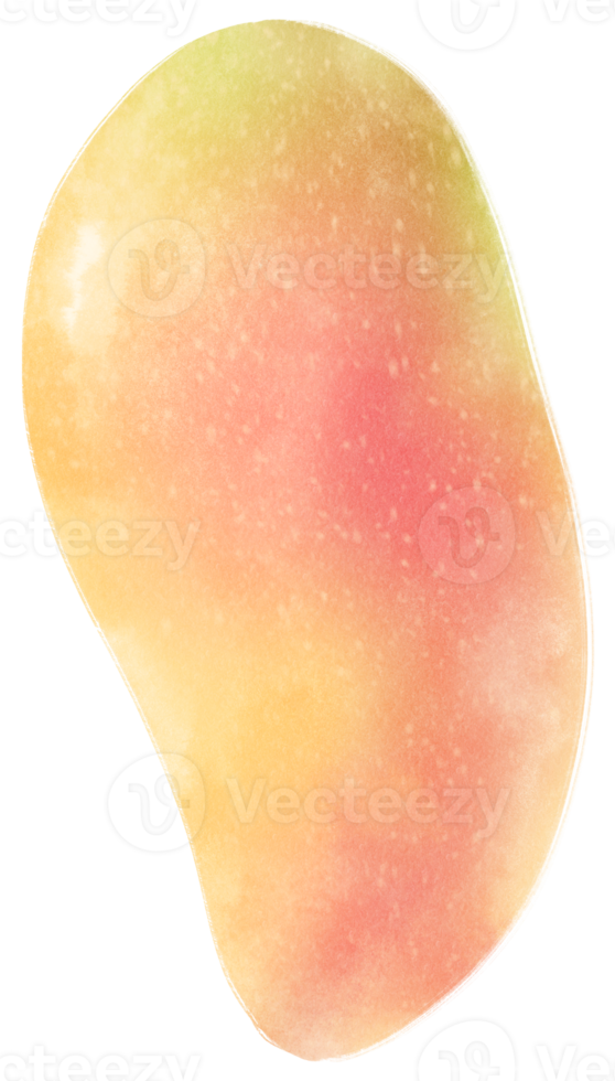 mango frukt akvarell illustration png