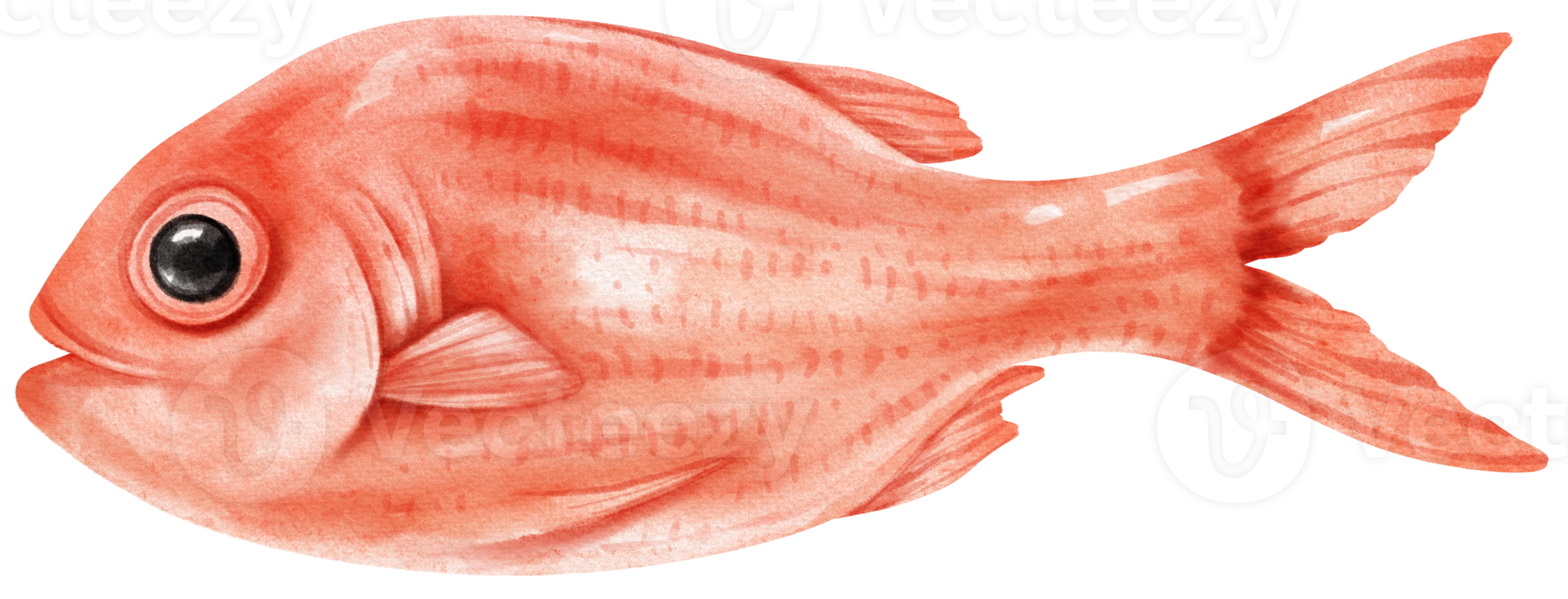 fisk skaldjur akvarell illustration png