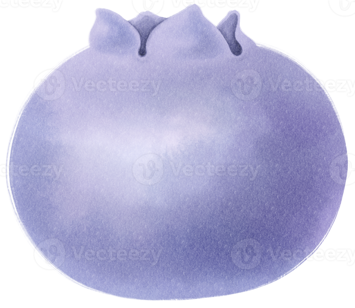 Blueberry Fruit Watercolor illustration png