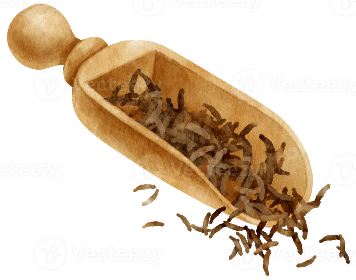 foglie di tè verde essiccate in acquerello con cucchiaio di legno png