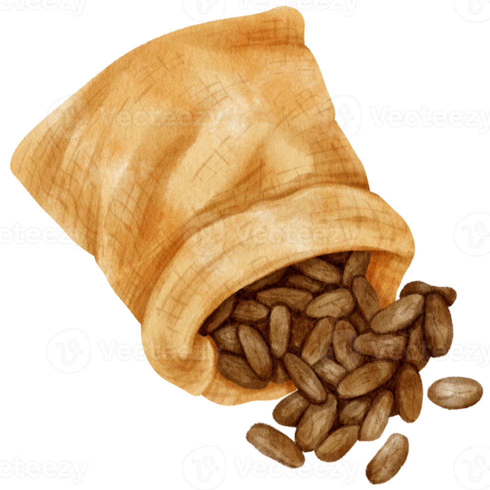 watercolor cocoa beans in burlap bag png