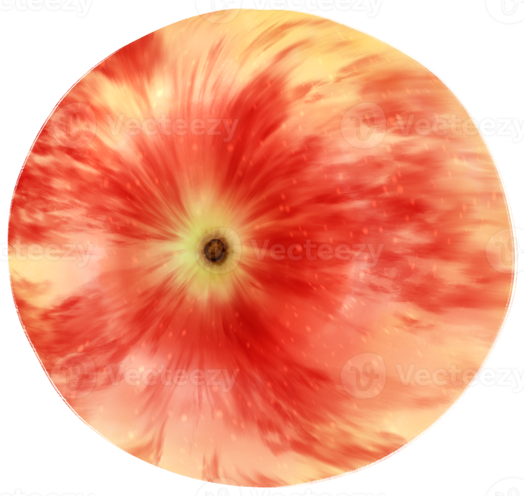 äpple frukt akvarell illustration png