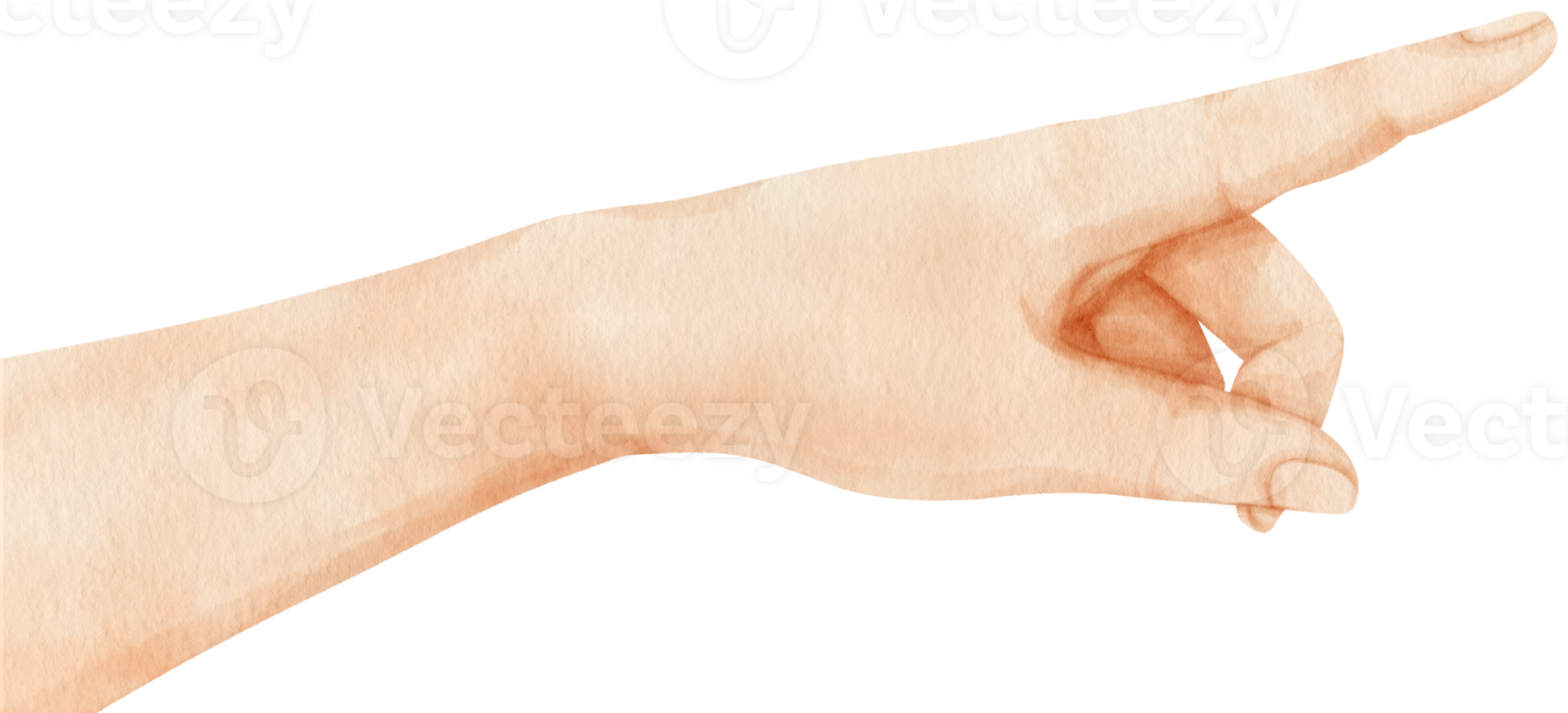 illustrazione dell'acquerello di puntamento della mano png