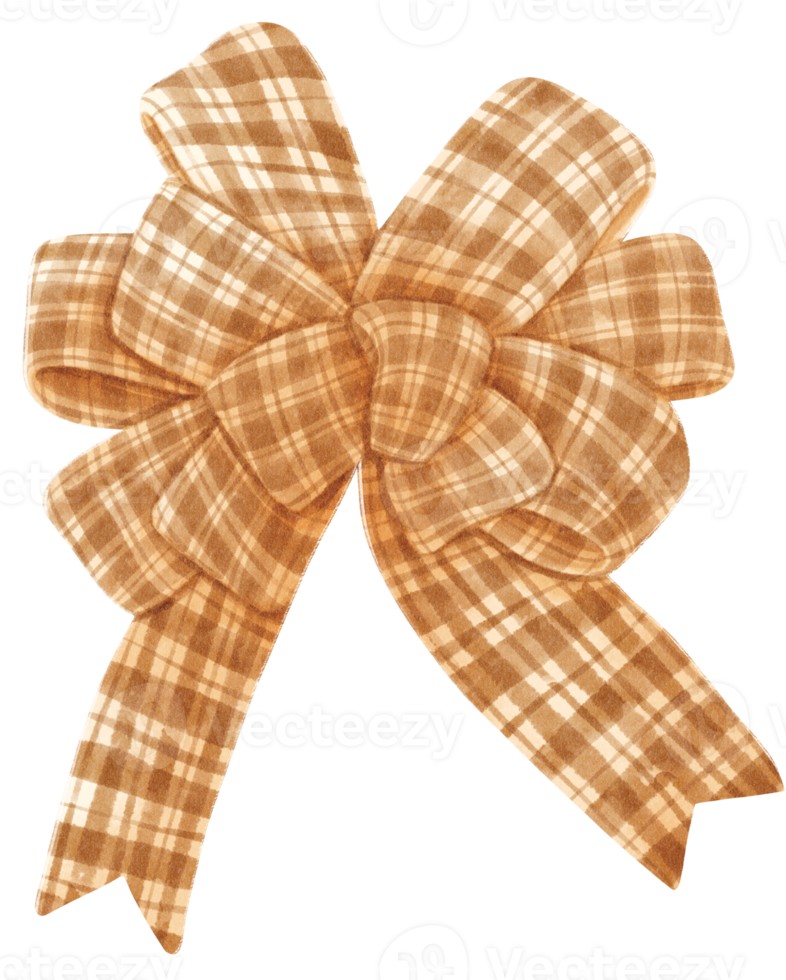 Brown with Checkered  gift ribbon bow illustrations hand painted watercolor styles png