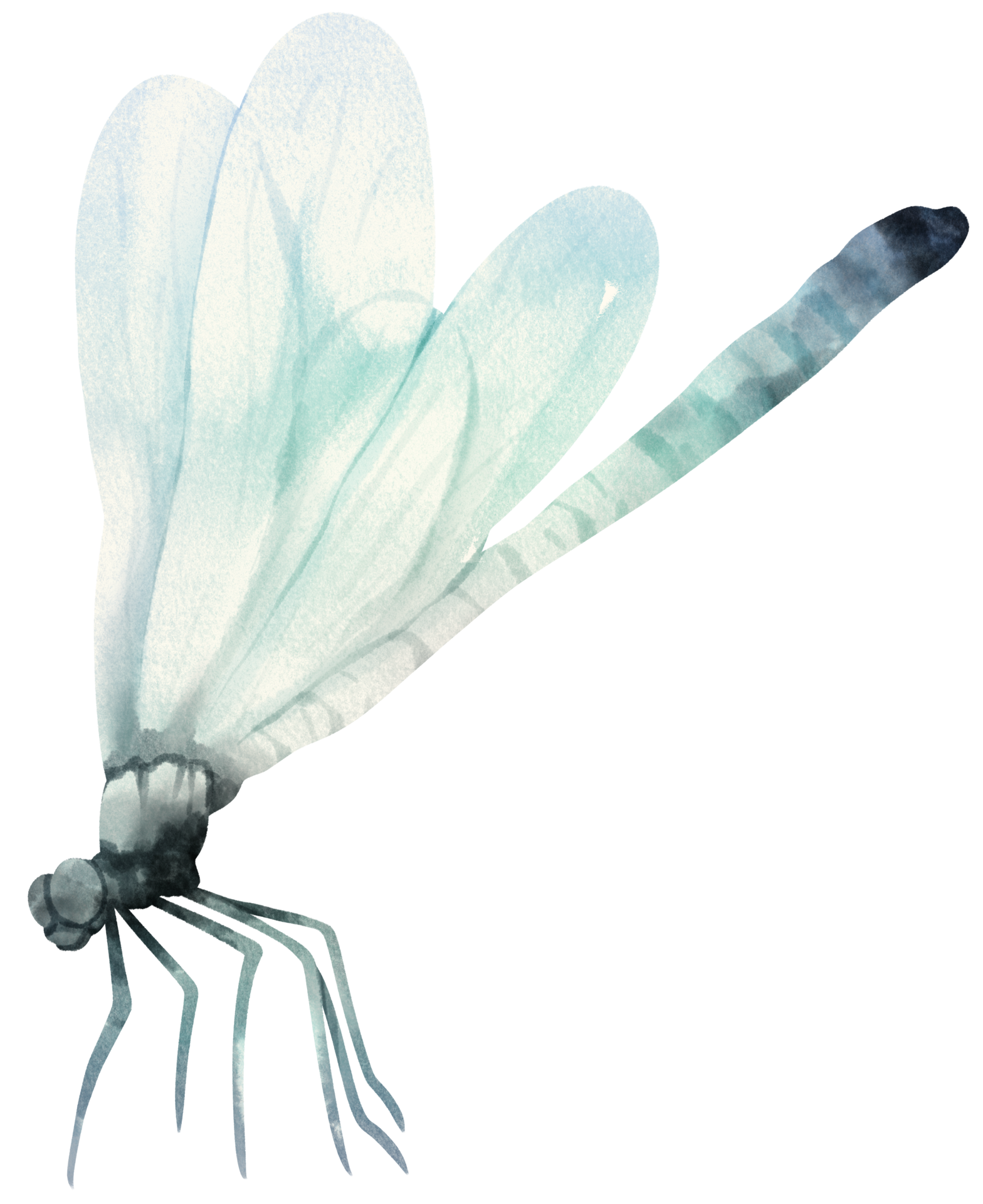 Free Dragonfly watercolor illustration 9660425 PNG with Transparent  Background