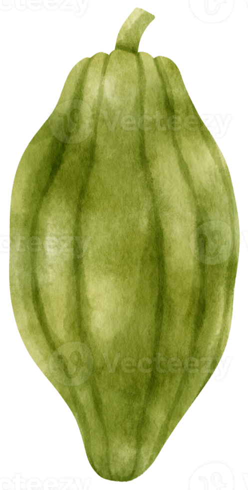Cacao Watercolor hand-painted png