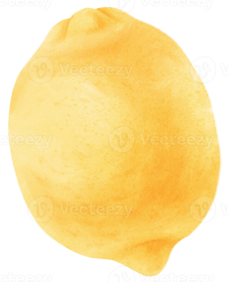 illustrazione dell'acquerello della frutta del limone png