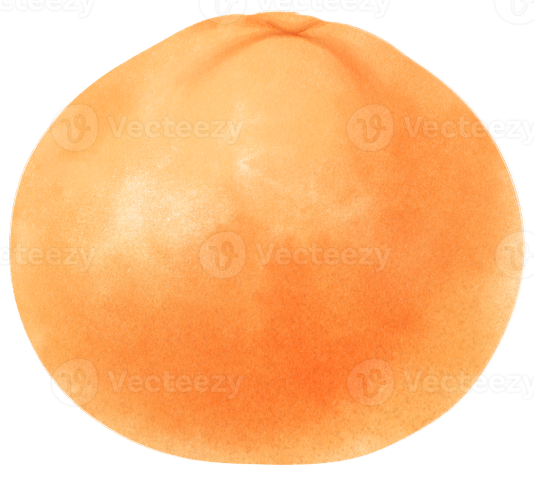 Orangenfrucht-Aquarellillustration png