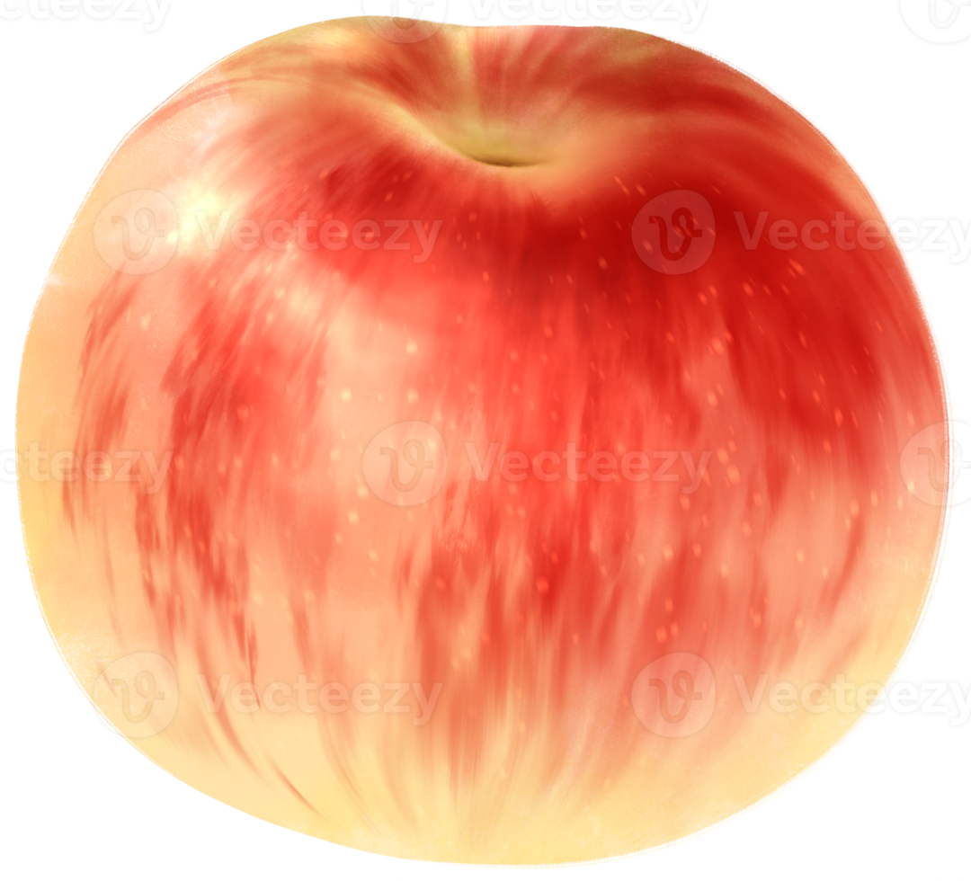 Apple Fruit Watercolor illustration png