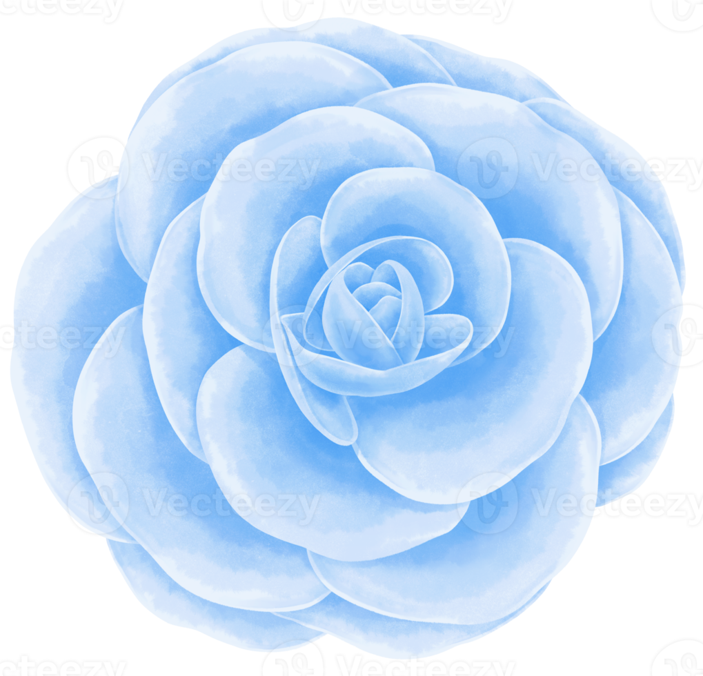 fleur bleue aquarelle peinte à la main png