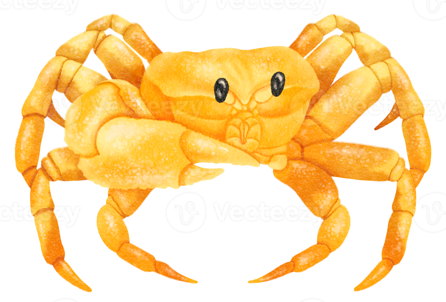 Yellow Crab watercolor hand painted png